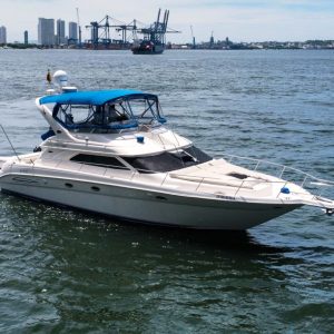 Sea Ray 45'