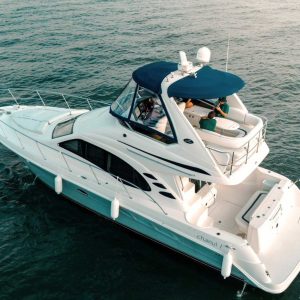 Sea Ray 44'