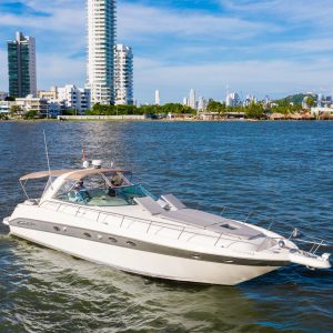 Sea Ray 46'